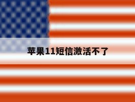 苹果11短信激活不了