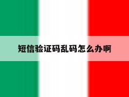 短信验证码乱码怎么办啊