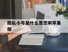 隐私小号是什么意思啊苹果版