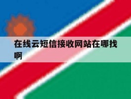 在线云短信接收网站在哪找啊