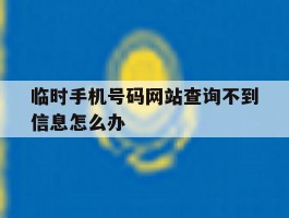 临时手机号码网站查询不到信息怎么办