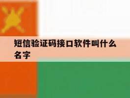 短信验证码接口软件叫什么名字
