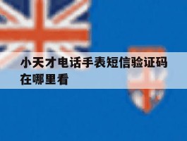 小天才电话手表短信验证码在哪里看
