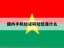 国内手机验证码短信是什么