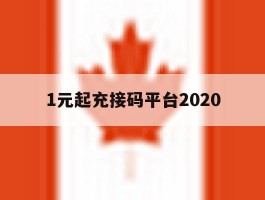 1元起充接码平台2020