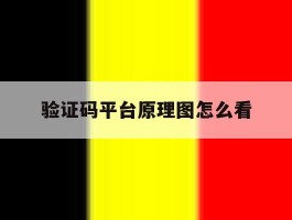 验证码平台原理图怎么看的简单介绍