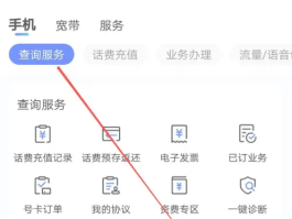 云短信中国手机号码怎么查话费