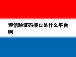 短信验证码接口是什么平台啊