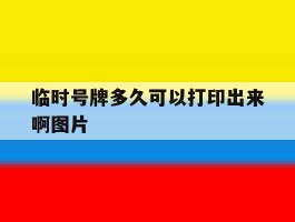 临时号牌多久可以打印出来啊图片的简单介绍