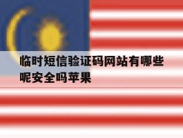 临时短信验证码网站有哪些呢安全吗苹果