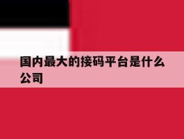 国内最大的接码平台是什么公司
