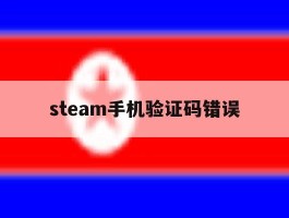 steam手机验证码错误