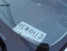 临时号牌违章查询