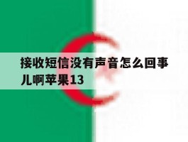 包含接收短信没有声音怎么回事儿啊苹果13的词条