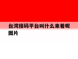 台湾接码平台叫什么来着呢图片