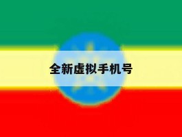 全新虚拟手机号