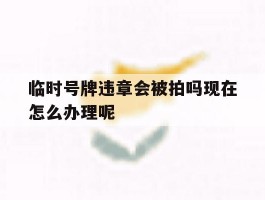 包含临时号牌违章会被拍吗现在怎么办理呢的词条