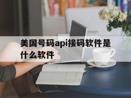 美国号码api接码软件是什么软件