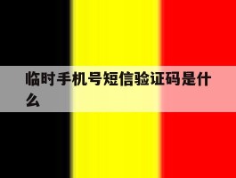 临时手机号短信验证码是什么