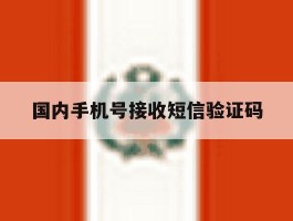 国内手机号接收短信验证码