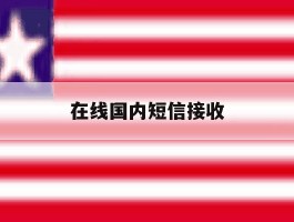 在线国内短信接收