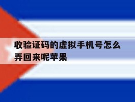 收验证码的虚拟手机号怎么弄回来呢苹果