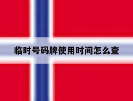 临时号码牌使用时间怎么查