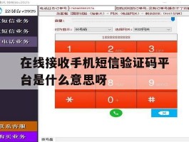 包含在线接收手机短信验证码平台是什么意思呀的词条