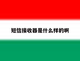 短信接收器是什么样的啊