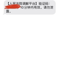 云验证码平台网页下载不了软件