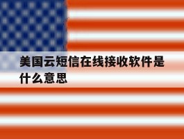 美国云短信在线接收软件是什么意思