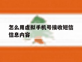 怎么用虚拟手机号接收短信信息内容