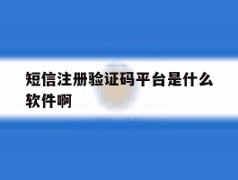 短信注册验证码平台是什么软件啊