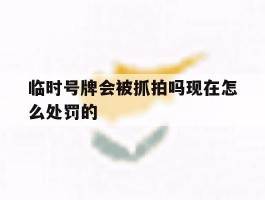 临时号牌会被抓拍吗现在怎么处罚的