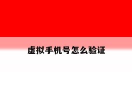 虚拟手机号怎么验证