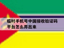 临时手机号中国接收验证码平台怎么弄出来