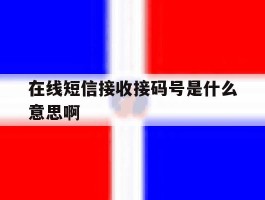 在线短信接收接码号是什么意思啊
