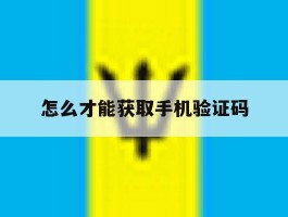 怎么才能获取手机验证码
