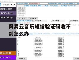 网易云音乐短信验证码收不到怎么办
