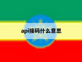 api接码什么意思