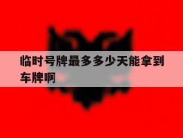 包含临时号牌最多多少天能拿到车牌啊的词条