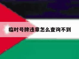 临时号牌违章怎么查询不到