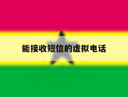 能接收短信的虚拟电话