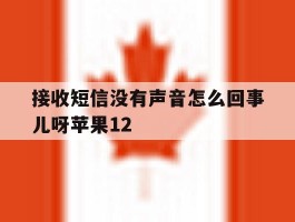 接收短信没有声音怎么回事儿呀苹果12的简单介绍