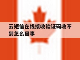 云短信在线接收验证码收不到怎么回事
