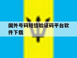 国外号码短信验证码平台软件下载