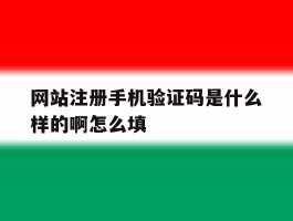 网站注册手机验证码是什么样的啊怎么填
