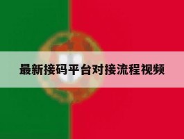最新接码平台对接流程视频