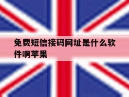 免费短信接码网址是什么软件啊苹果