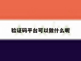 验证码平台可以做什么呢